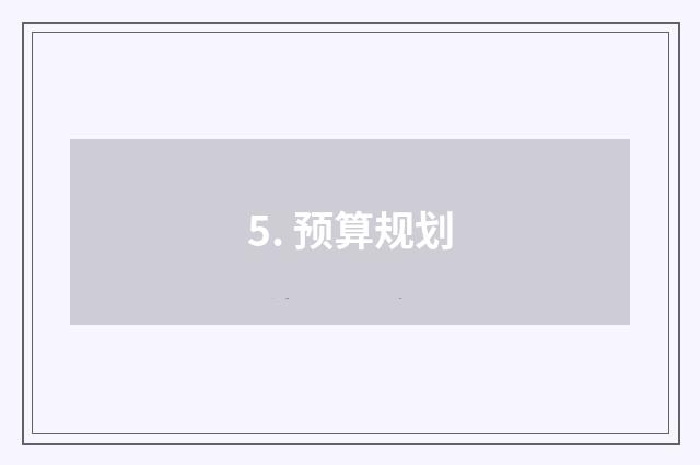 5. 预算规划