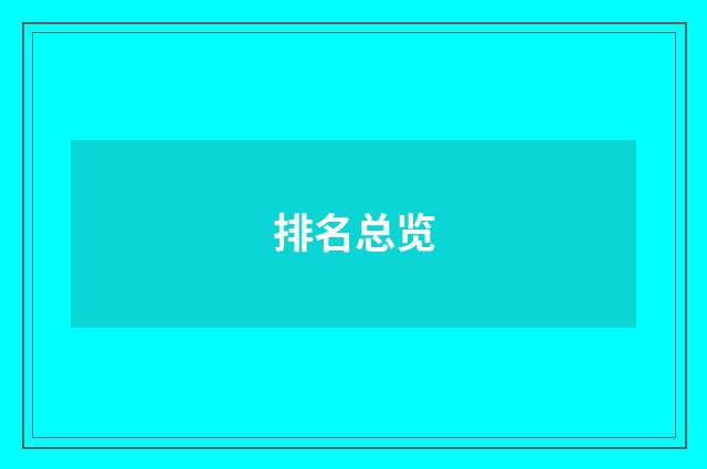 排名总览