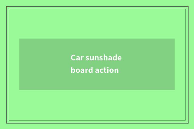 Car sunshade board action