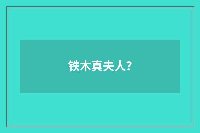 铁木真夫人？