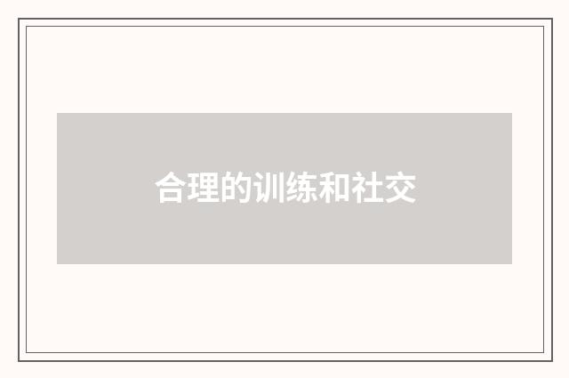 合理的训练和社交