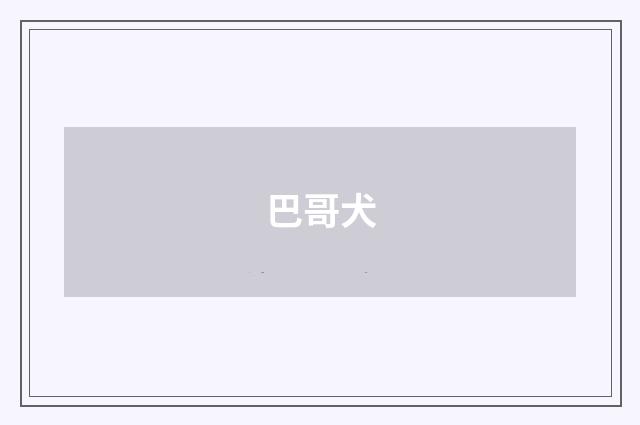 巴哥犬