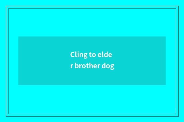 Cling to elder brother dog