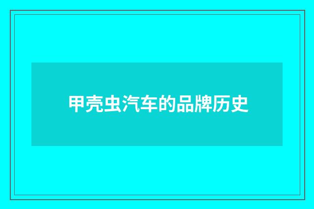 甲壳虫汽车的品牌历史