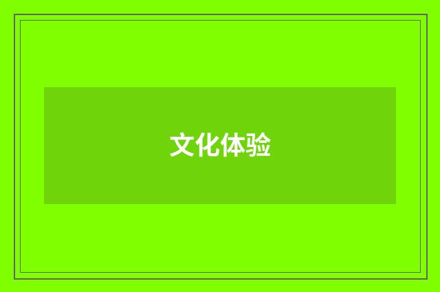 文化体验