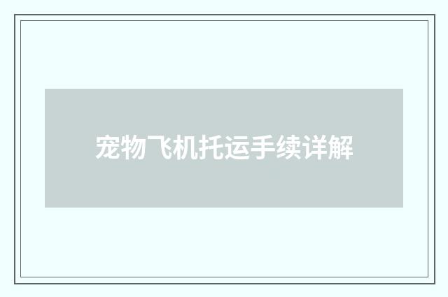 宠物飞机托运手续详解