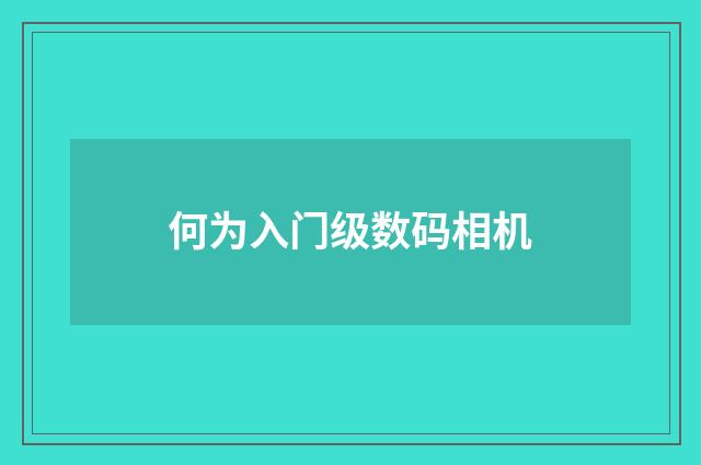 何为入门级数码相机