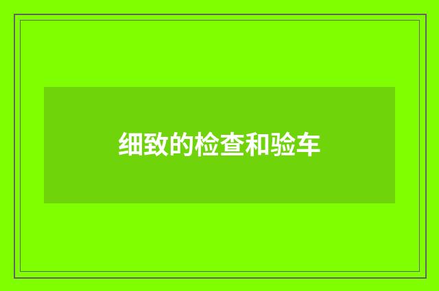 细致的检查和验车