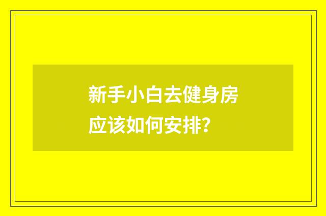 新手小白去健身房应该如何安排?