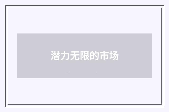 潜力无限的市场