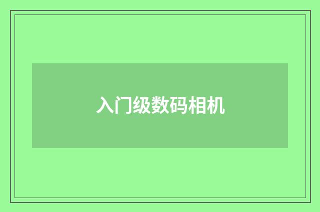 入门级数码相机