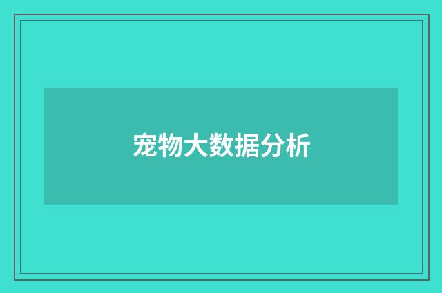 宠物大数据分析