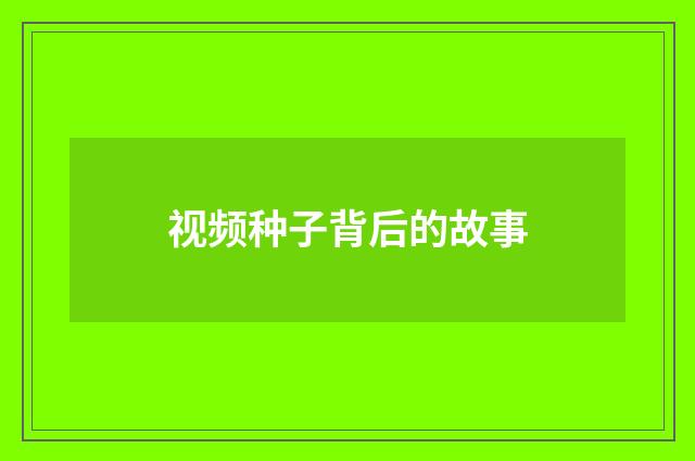 视频种子背后的故事