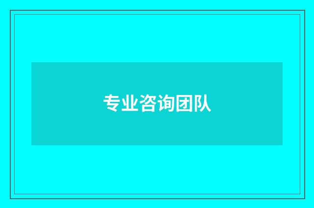 专业咨询团队