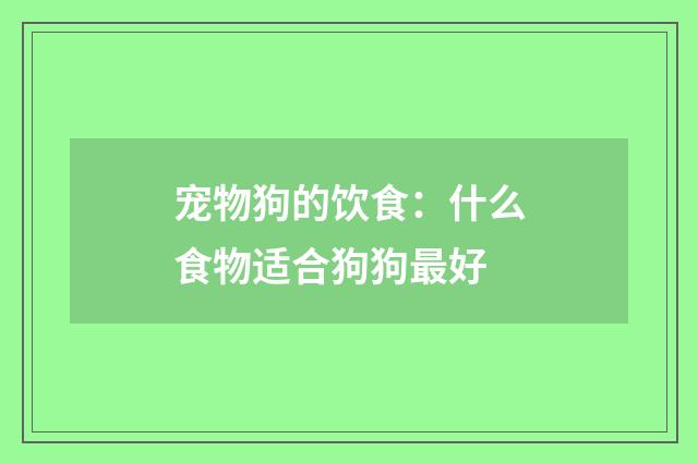 宠物狗的饮食:什么食物适合狗狗最好