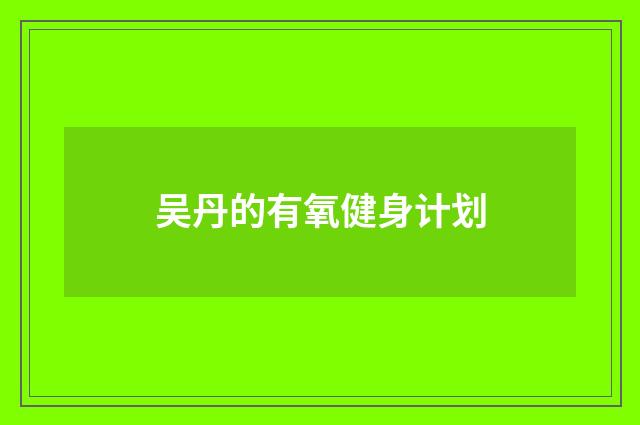 吴丹的有氧健身计划