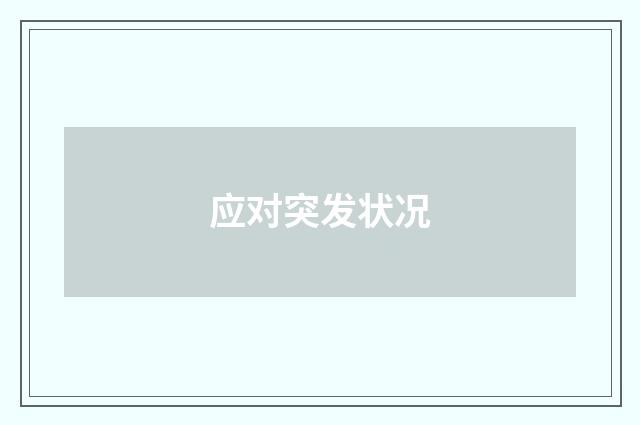 应对突发状况