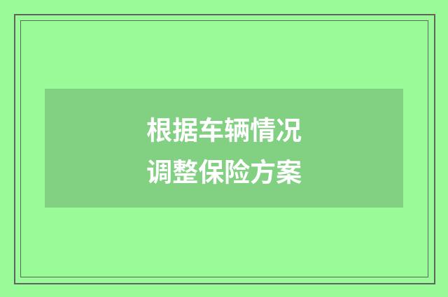 根据车辆情况调整保险方案