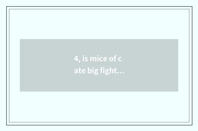 4, is mice of cate big fight made?