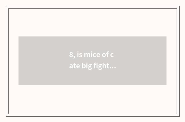 8, is mice of cate big fight amused?