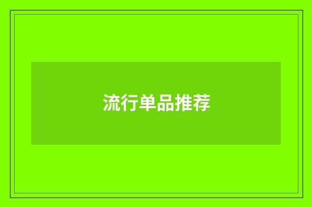 流行单品推荐