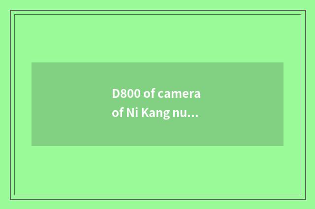 D800 of camera of Ni Kang number operates a guideline completely