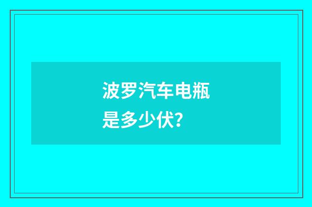 波罗汽车电瓶是多少伏?