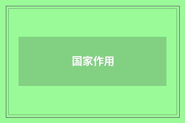 国家作用