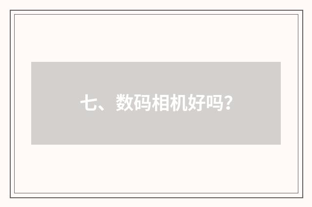 七、数码相机好吗?
