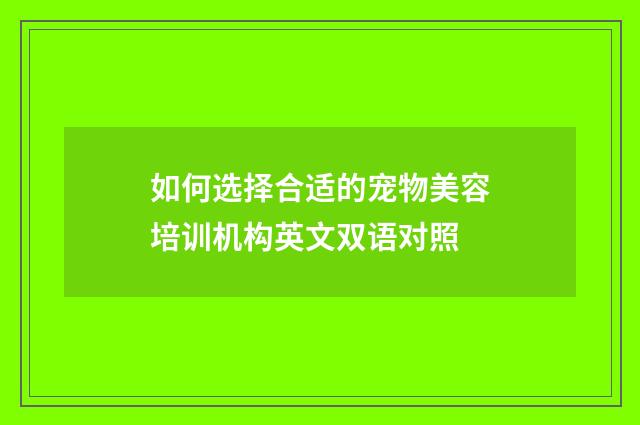 如何选择合适的宠物美容培训机构英文双语对照