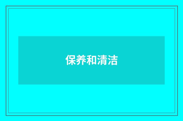 保养和清洁