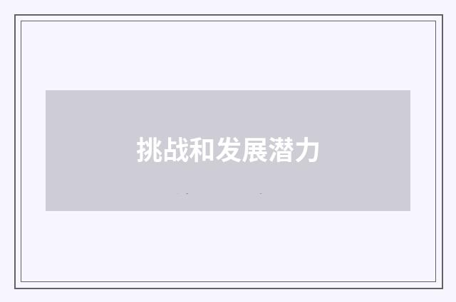 挑战和发展潜力