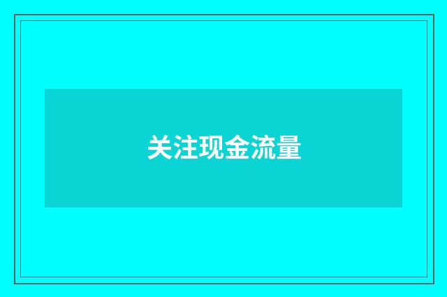 关注现金流量