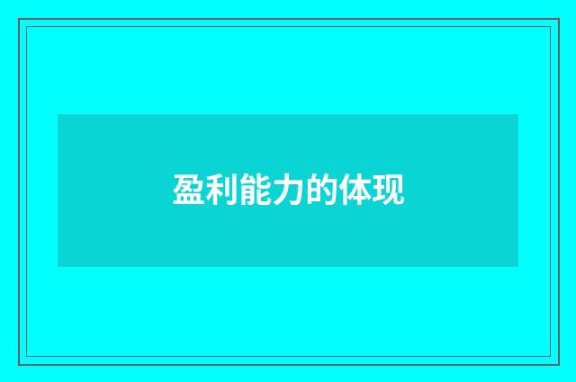 盈利能力的体现