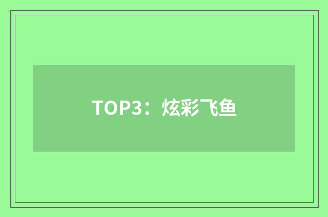 TOP3：炫彩飞鱼