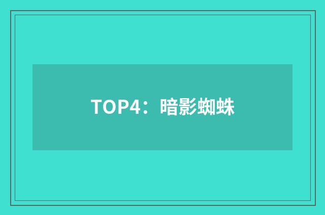 TOP4:暗影蜘蛛