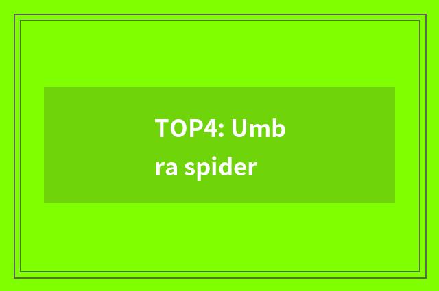 TOP4: Umbra spider