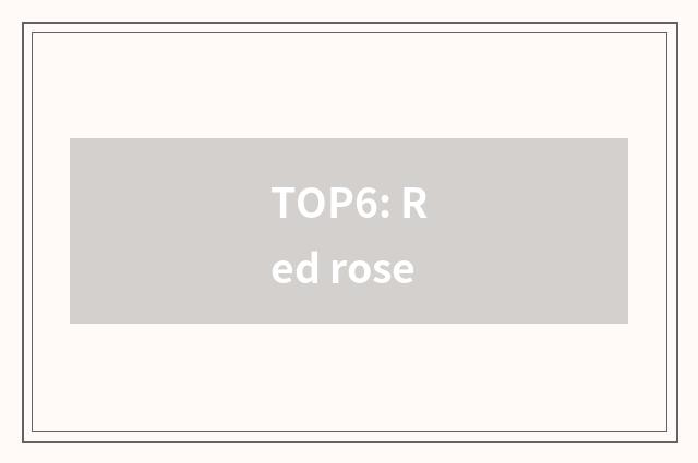 TOP6: Red rose