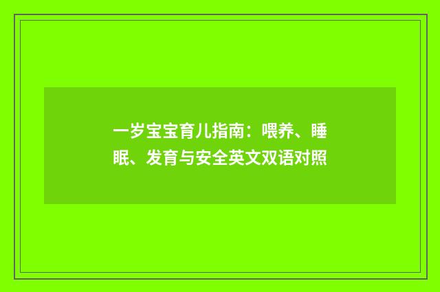 一岁宝宝育儿指南:喂养、睡眠、发育与安全英文双语对照