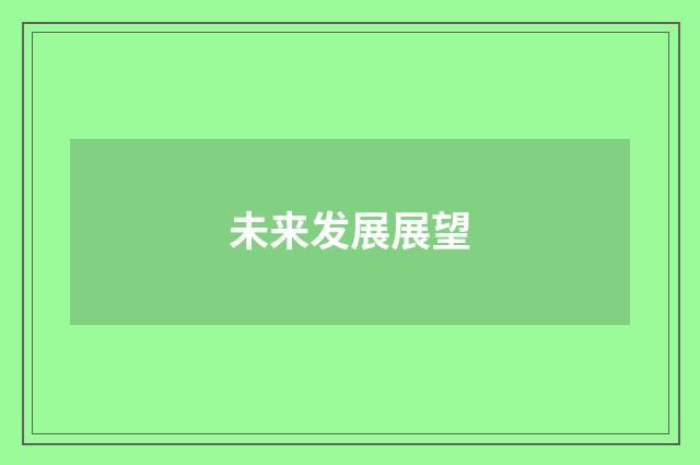 未来发展展望
