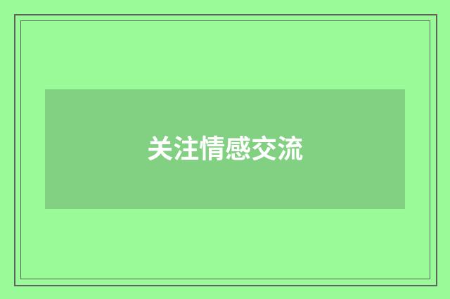 关注情感交流