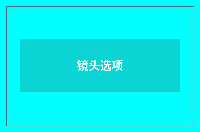 镜头选项
