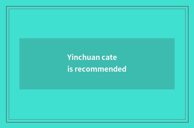 Yinchuan cate is recommended
