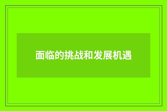 面临的挑战和发展机遇