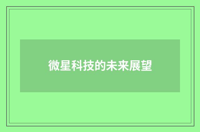 微星科技的未来展望