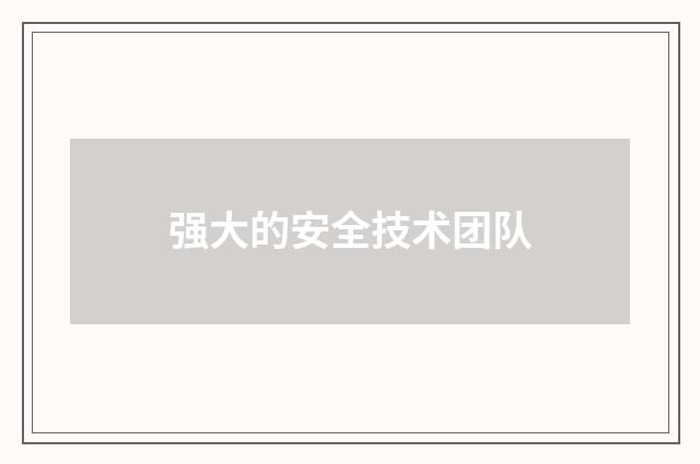 强大的安全技术团队