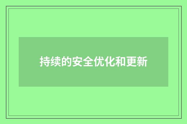 持续的安全优化和更新