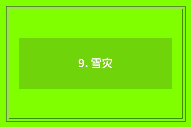 9. 雪灾