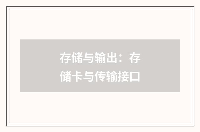 存储与输出：存储卡与传输接口