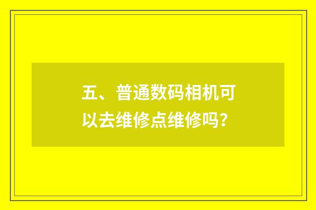 五、普通数码相机可以去维修点维修吗?